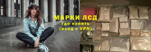 СК Горно-Алтайск