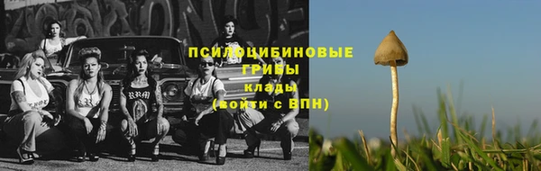 мдма Горняк